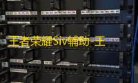 王者荣耀Siv辅助-王者荣耀手游Siv安卓版插件下载v7.10